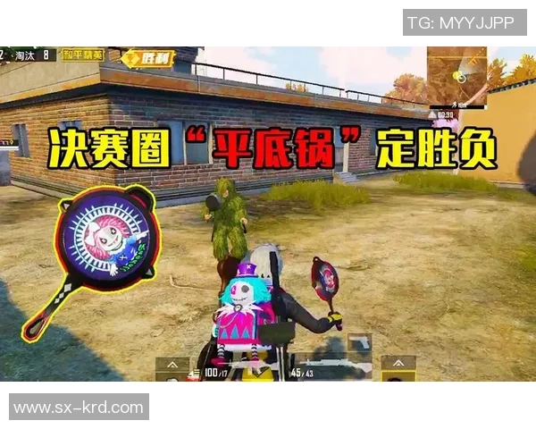 和平精英深度剖析LNG战队的盯防策略与战术布局